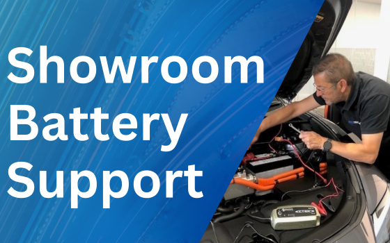 Rotronics Supports National Dealership with Battery Maintenance Issues